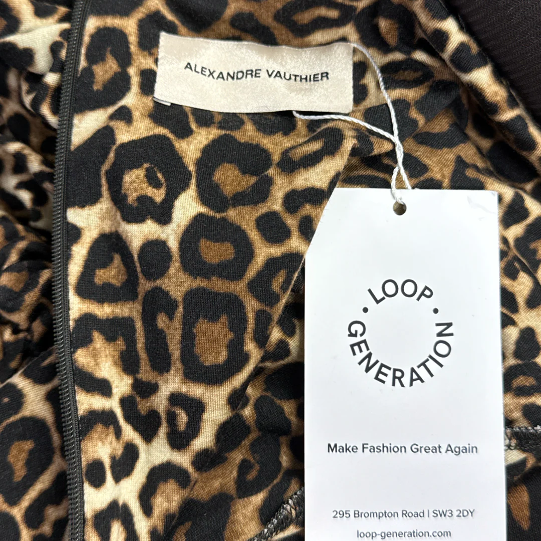 Alexandre Vauthier Natural Ruched Leopard-print Stretch-jersey Maxi Dress - Image 5